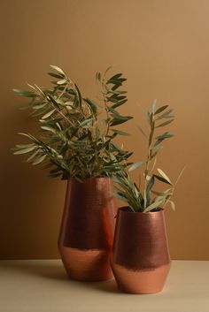 two vases with plants in them sitting on a table