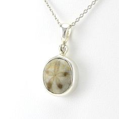 This fossilized sea urchin is set in a sterling silver bezel pendant setting in Bali. Pendant is 1 inch long and 7/16 inch wide and comes on an 18 long silver cable chain. Style Number: 18532 Metal: 925 Sterling Silver Gemstone: Genuine Fossilized Sea Urchin Dimensions: 1 inch long and 7/16 inch wide, 18 inch chain Handmade in Bali Sea Urchin, Bezel Pendant, Pendant Set, Cable Chain, Fossil, 925 Sterling Silver, Chain, Sterling Silver, Gemstones