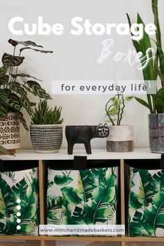 some plants are sitting on a shelf in front of a sign that says cube storage better for everyday life