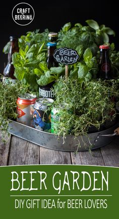 beer garden diy gift idea for beer lovers