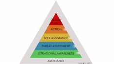 Situational Awareness and the Civilian Use of Force Assessment