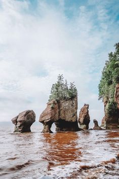 some rocks in the water and trees on top of them with blue skies above it