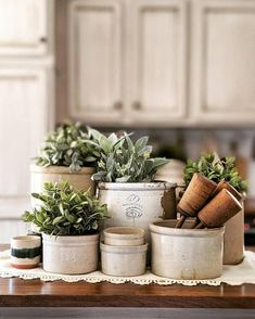 there are many pots with plants in them on the kitchen counter top, and one is holding wine corks