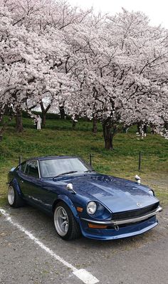 a blue sports car parked in front of cherry blossom trees