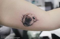 a dog's face is shown on the arm