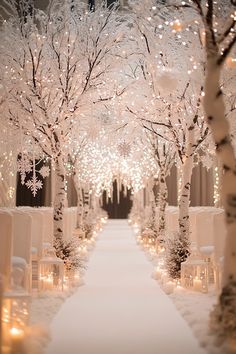 the aisle is lined with white chairs and lit up snow covered trees in front of them