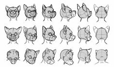 the various stages of how to draw an animal's head with different angles and facial expressions