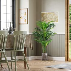 a dining room table with chairs and a potted plant