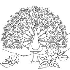 a coloring page with a peacock and flowers