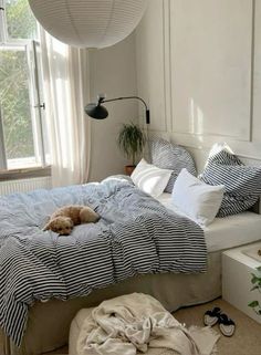 a dog laying on top of a bed in a bedroom next to a large window