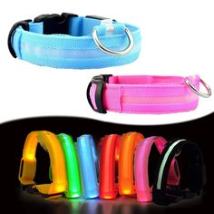 glow in the dark dog collars and leashes