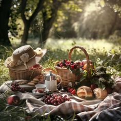 a picnic with bread, fruit and coffee on a blanket in the grass near some trees