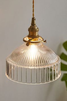 a glass light hanging from a ceiling fixture with a plant in the corner behind it