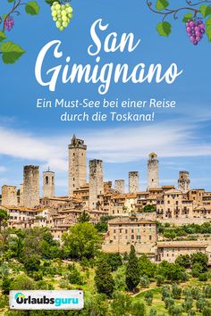 the cover of an article about wineries in italy with text that reads san gimigni