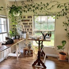 a room filled with lots of plants next to a window