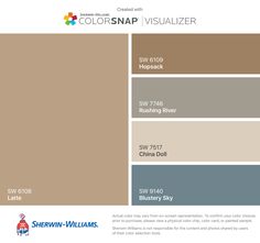 the color scheme for colorsnap visualizer is shown in blue, green and gray