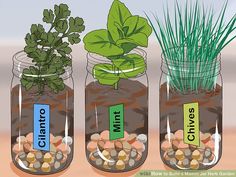 three mason jars filled with plants and rocks labeled in labels that read chives, mints, milli, and other herbs