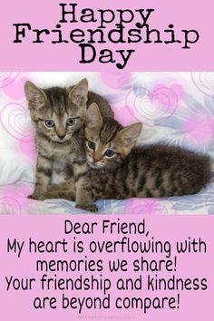 Happy Friendship Day 2022: Wishes, Quotes, Images HD Friendship Day Wishes, Best Status, Happy Friendship, Happy Friendship Day, Friendship Day, Wishes Quotes, Quotes Images, Day Wishes, Image Hd