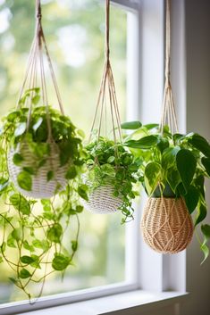 three hanging plants in wicker baskets on a window sill