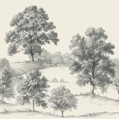 a pencil drawing of trees on a hill