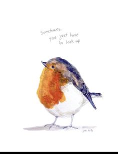 a watercolor drawing of a bird with words written on it