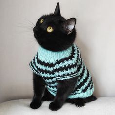 BMBR2H14G7 Knit Cat Sweater, Pets Clothes, Knit Cat, Colorful Hairstyles, Black Cat Aesthetic, Cat Sweater, Knitted Cat, Pet Sweater, Sweater Outfit