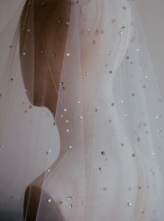 the back of a bride's veil with pearls on it