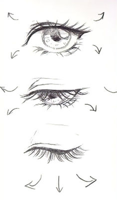 an eye with arrows drawn on it, and the bottom half of its iris's eyes