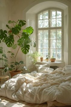 an unmade bed in front of a window with potted plants on the side