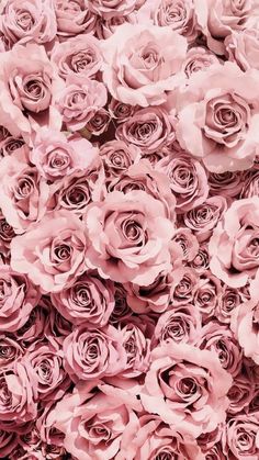 many pink roses are arranged together in the shape of a wallpaper or paper flower