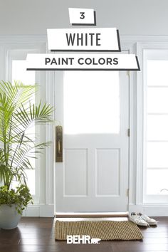 a white door with the words 3 white paint colours above it and a potted plant