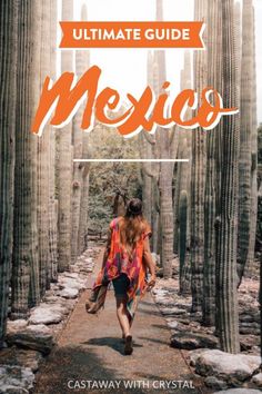 the ultimate guide to mexico with text overlay