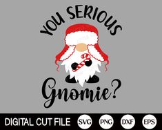 you serious gnomeie svg file