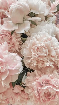 pink and white peonies are arranged together