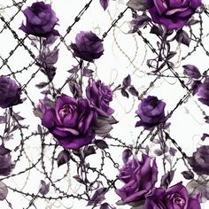 purple roses are growing through barbed wire on a white background in this artistic photo, it looks like they're dying