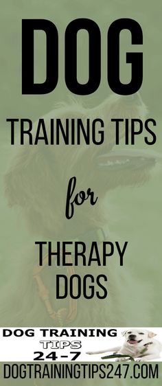 a dog with the words training tips for therapy dogs on it's front and back