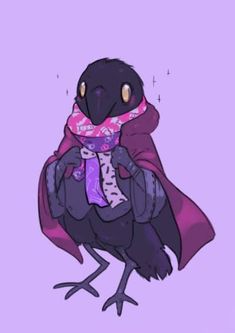 a black bird with a scarf on it's head and a purple cape around its neck