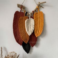 three different colored feathers hanging on a wall next to dried flowers and plants in a vase