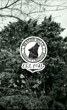 black and white photo of the bear sign