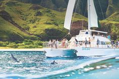 people on a boat in the ocean watching dolphins swim by with mountains in the background