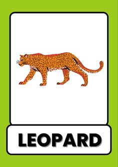 an image of a leopard on the side of a green sign with black lettering that reads leopard