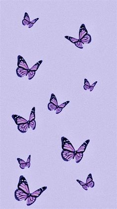 a group of purple butterflies flying in the sky with no one on it's wings