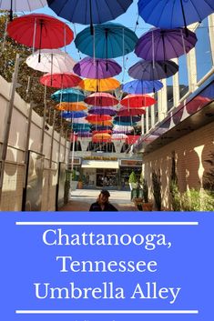 there are many umbrellas hanging from the ceiling in front of a building that says chatanooga, tennessee umbrella alley