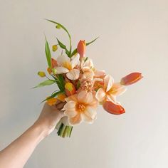 a hand holding a bouquet of flowers on a white background with orange and yellow colors