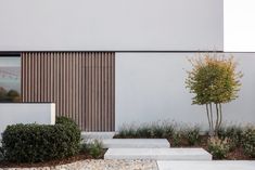 a modern house with stone steps leading up to the front door and side yard area