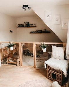 a room that has some shelves on the wall with plants in them and other things