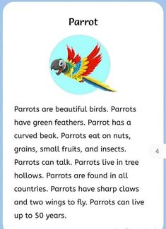 an image of parrots and other animals in the book parrots are beautiful birds parrots have green feathers parrot has a curved beak