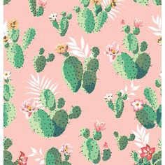 a pink background with green cactus and flowers