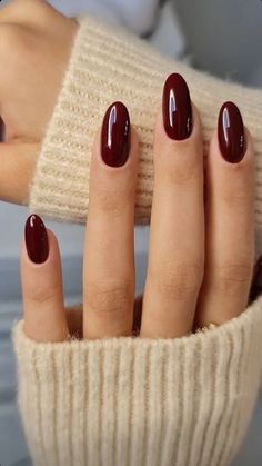 Red Nails 2024 Trends, Red Cherry Nails Acrylic, Wine Nail Color, Fall Nails 2024 Color Trends, Wine Color Nails, Cherry Wine Nails, Classic Red Nails, Burgundy Acrylic, Nails Burgundy