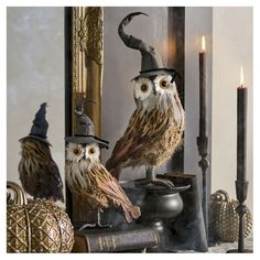 two owls sitting on top of a table next to a mirror with candles in it